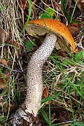 IMG_9179
