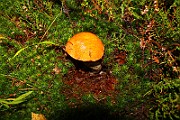 IMG_2135