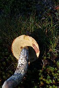 IMG_2147