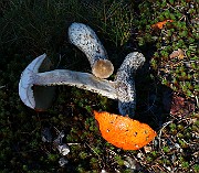 IMG_2149