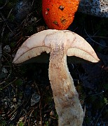 IMG_2150