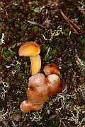 IMG_0377