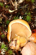 IMG_0379