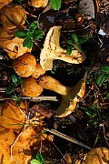 IMG_1147