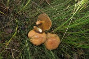IMG_7360