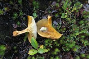 IMG_7364
