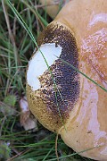 IMG_7365b