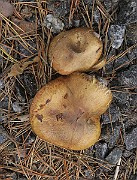 IMG_0045