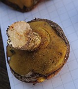 IMG_0093