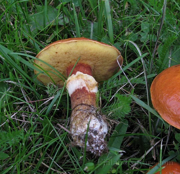IMG_7486.jpg