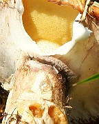IMG_0108s
