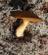 IMG_0249