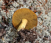 IMG_0251