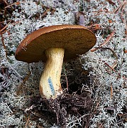 IMG_0256