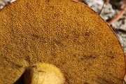 IMG_0257