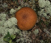 IMG_0626
