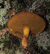IMG_0628