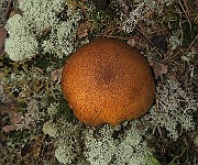 IMG_0629