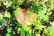 IMG_0973