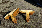 IMG_0986