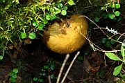 IMG_1324