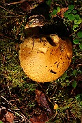 IMG_1327