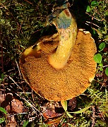 IMG_1329