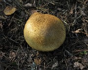 IMG_7584