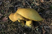 IMG_7587