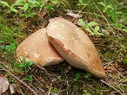 IMG_0058