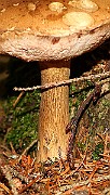 IMG_1790