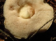 IMG_2010
