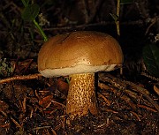 IMG_2075