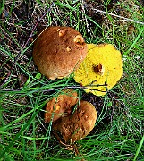 IMG_0400