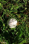 IMG_0789