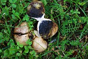 IMG_1764