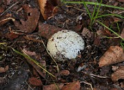 IMG_5956