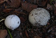 IMG_5959