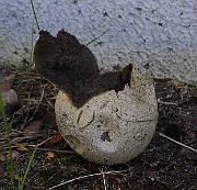 IMG_5963