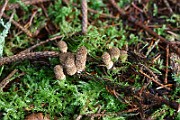 IMG_0927