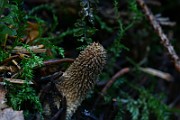 IMG_2384