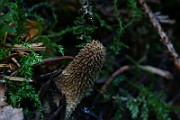 IMG_2385