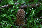 IMG_2386