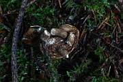IMG_9345