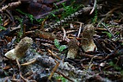 IMG_9347