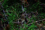 IMG_9348