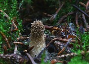 IMG_9349