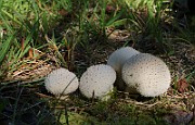 IMG_1634