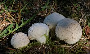 IMG_1635