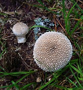 IMG_0597